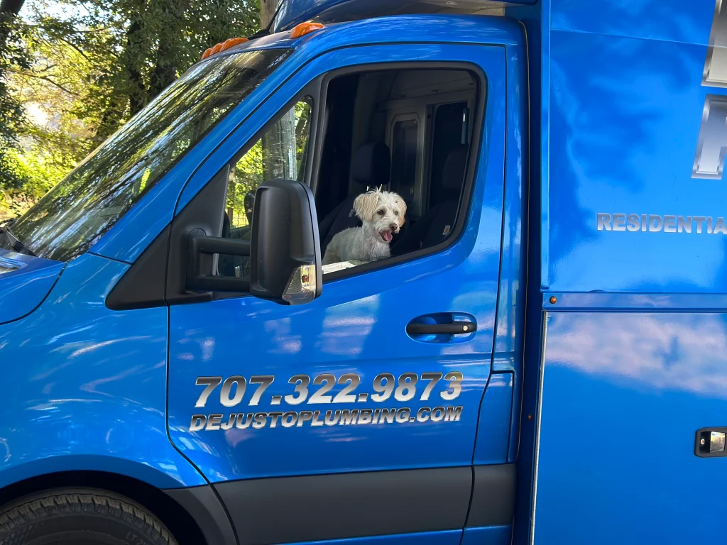 Sadie dog in worker van